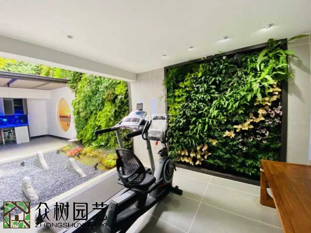 蘇州綠植租賃新風尚：打造辦公室綠色生態(tài)，讓工作更舒心！