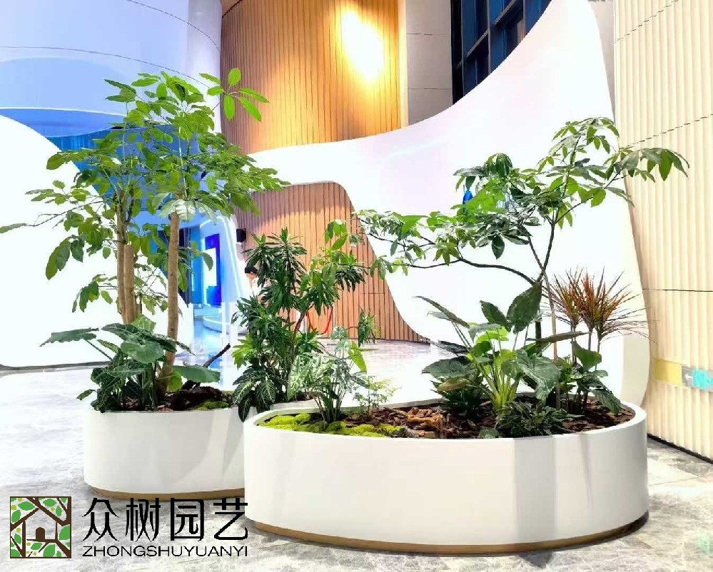 蘇州植物租賃與養(yǎng)護服務完全指南