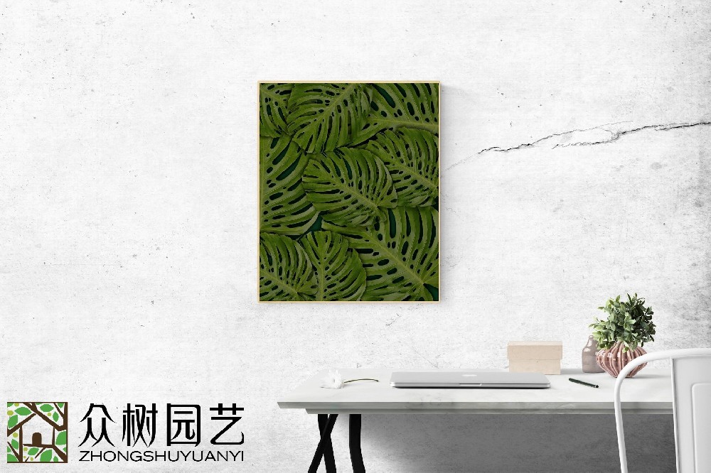 蘇州綠植租擺哪家好？揭秘城市綠林的優選選擇