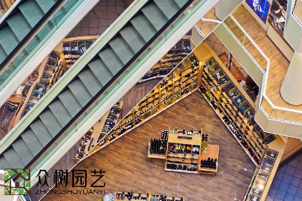 蘇州商場綠植租擺廠商：綠色美學的革命者，商場美學改變者